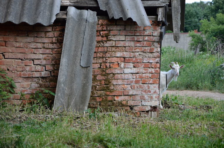 усадьба Барятино