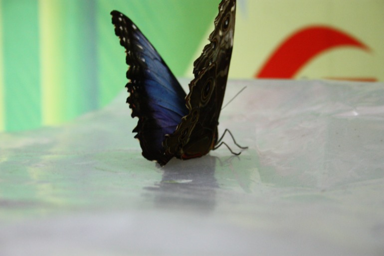 Насыщенный вышел денёк!!!