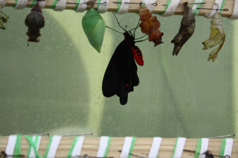 Насыщенный вышел денёк!!!