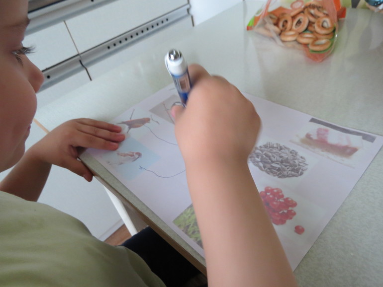 ТН "Как растут овощи" Отчет день 4