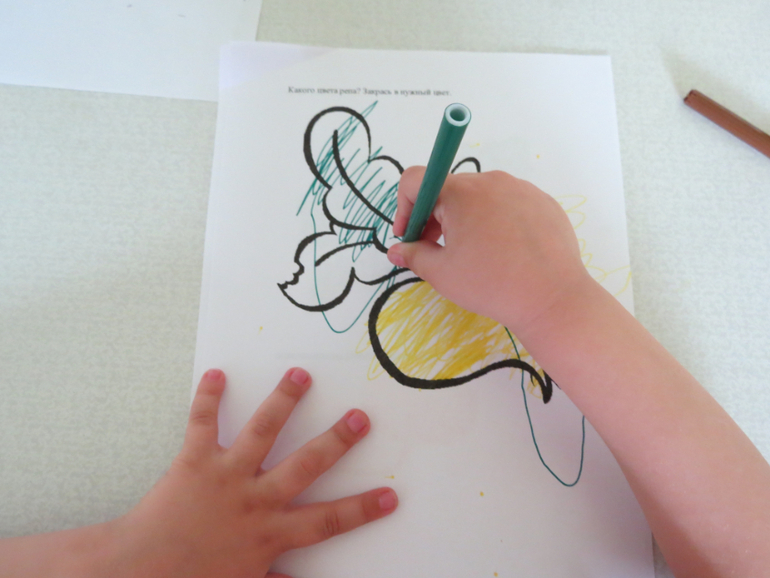 ТН "Как растут овощи" Отчет день 3