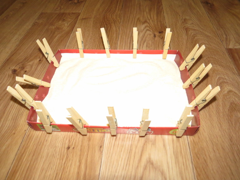 ТН "Как растут овощи" Отчет день 5