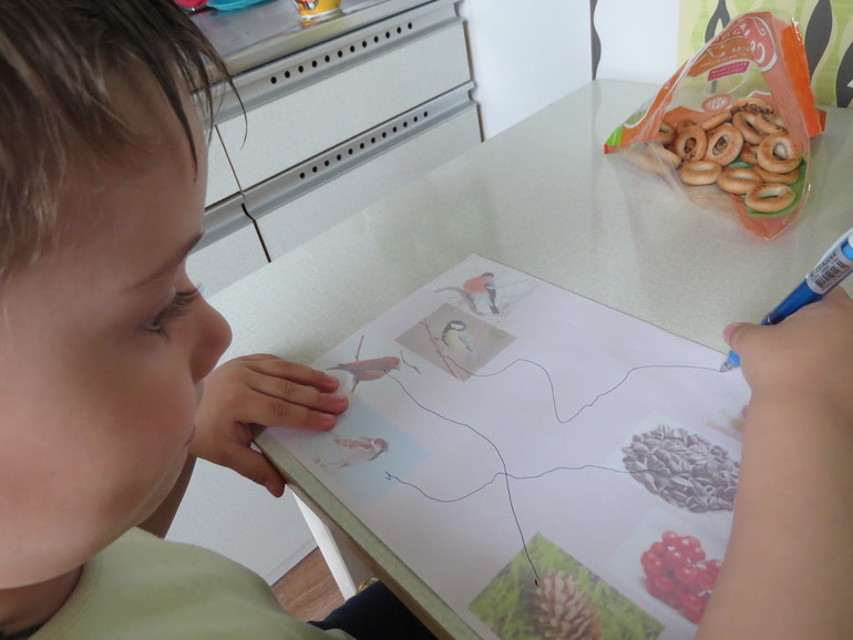 ТН "Как растут овощи" Отчет день 4