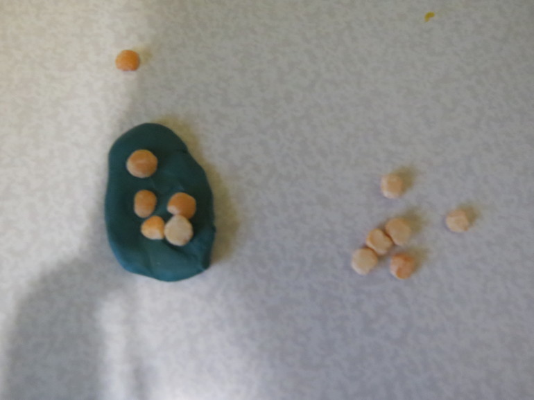 ТН "Как растут овощи" Отчет день 3