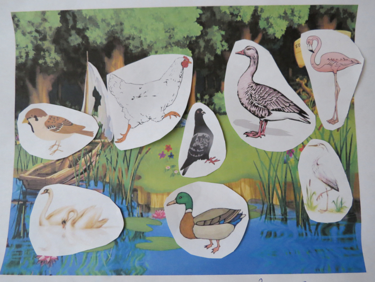 Отчет  по ТЗ