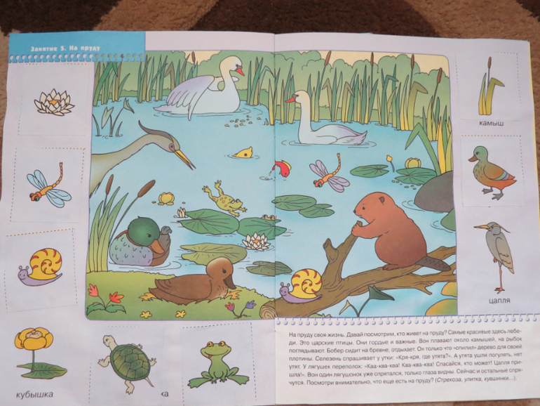 Отчет  по ТЗ