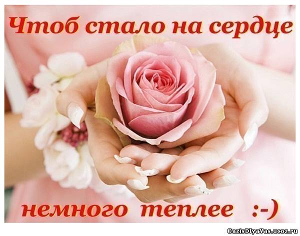 cbc0e2fdb63a60521aa8eaa68c9fa4df.jpg