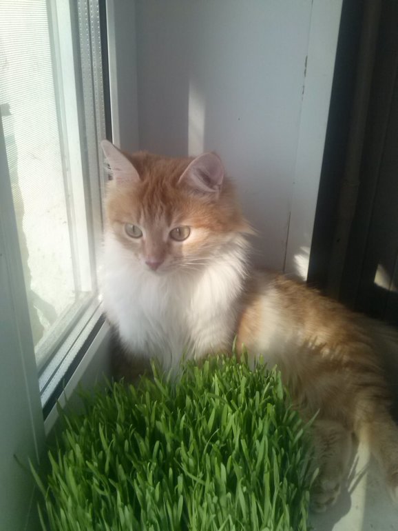 Знакомьтесь! Матильда!