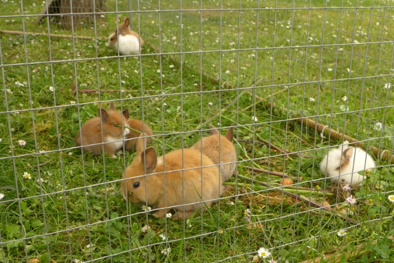 Ялта, Крым. КОК Россия