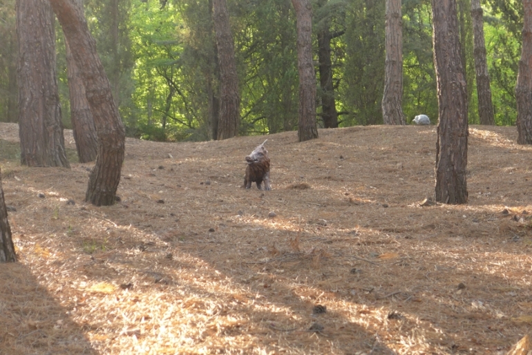 Ялта, Крым. КОК Россия