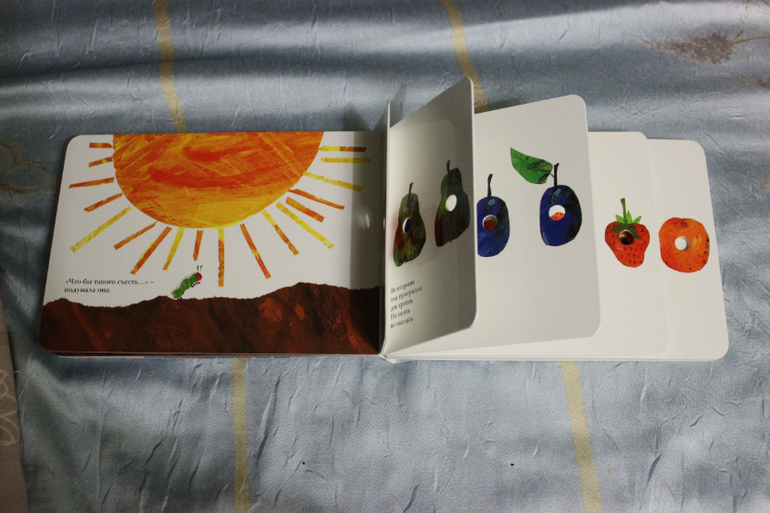 Наша книжная полка