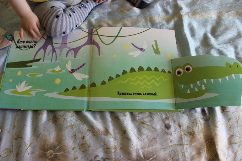 Наша книжная полка