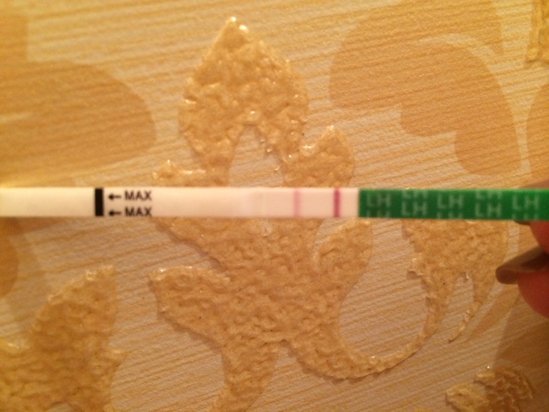 Тест на овуляцию