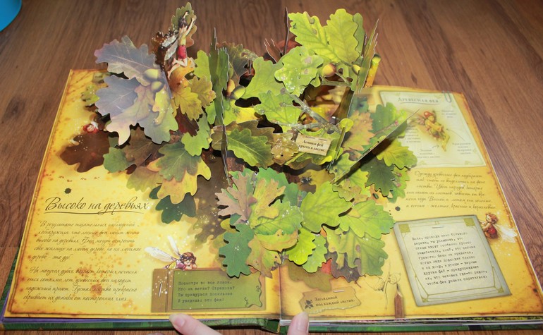 Наши книжечки или что мы читаем в год и 11 мес.