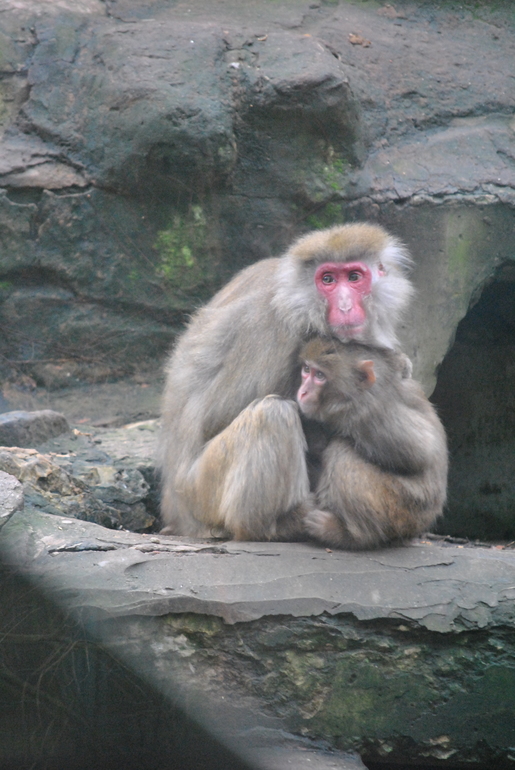 Новый  2014 Год в Латвии (Рига, Юрмала)