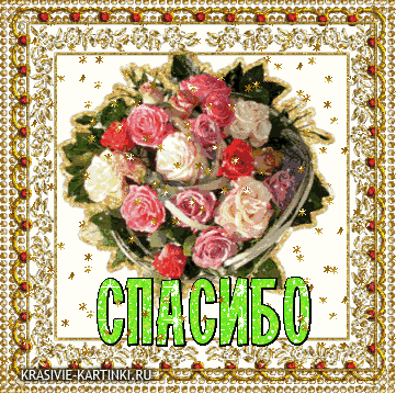 720d9bed623028aa6cc313f07249c748.gif