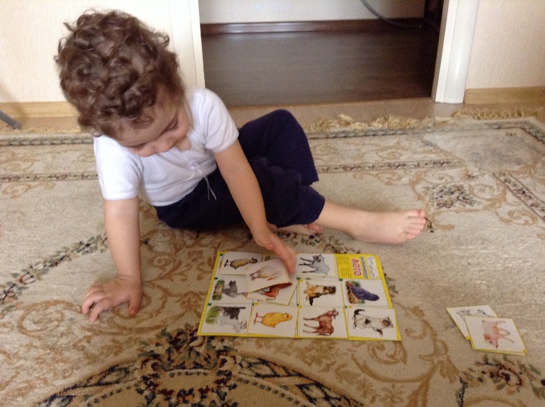 Домашние животные