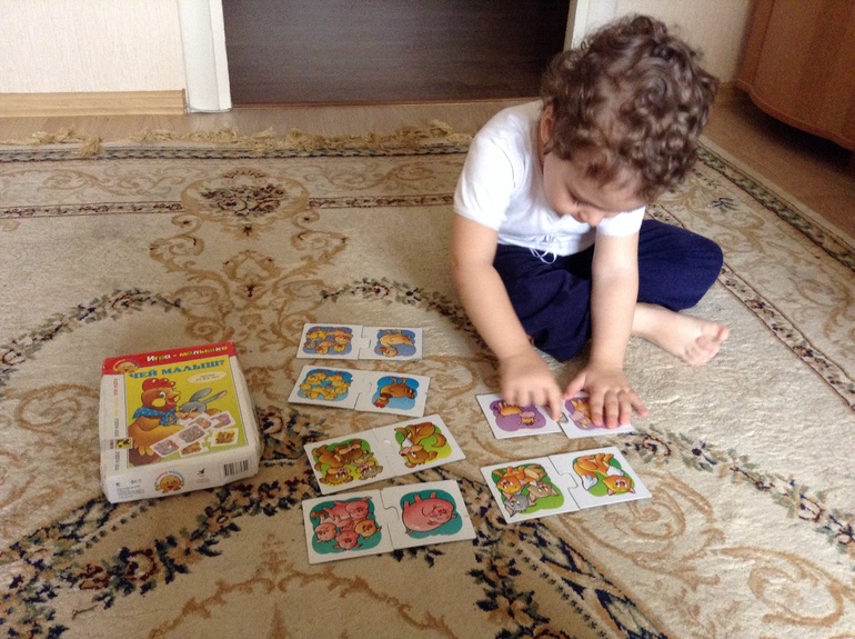 Домашние животные