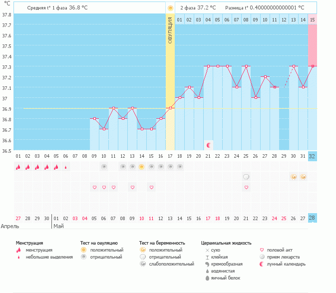 Мой беременный график