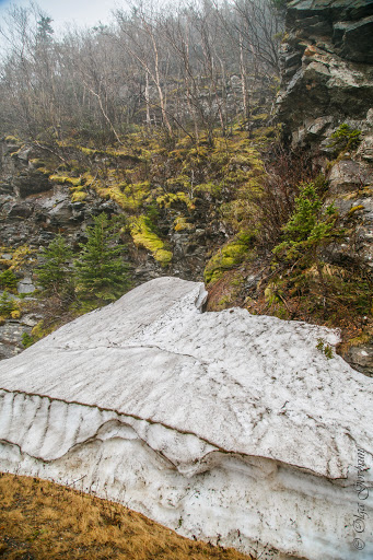 С ветерком по Nova Scotia