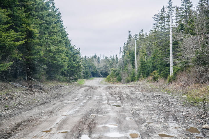 С ветерком по Nova Scotia