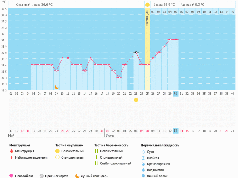 О чем говорит первая фаза цикла?