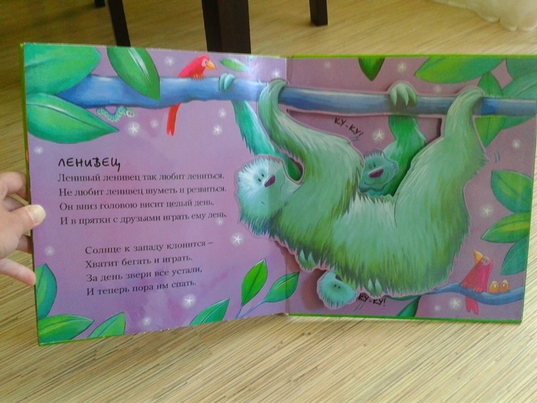 Подробнее про книжечки