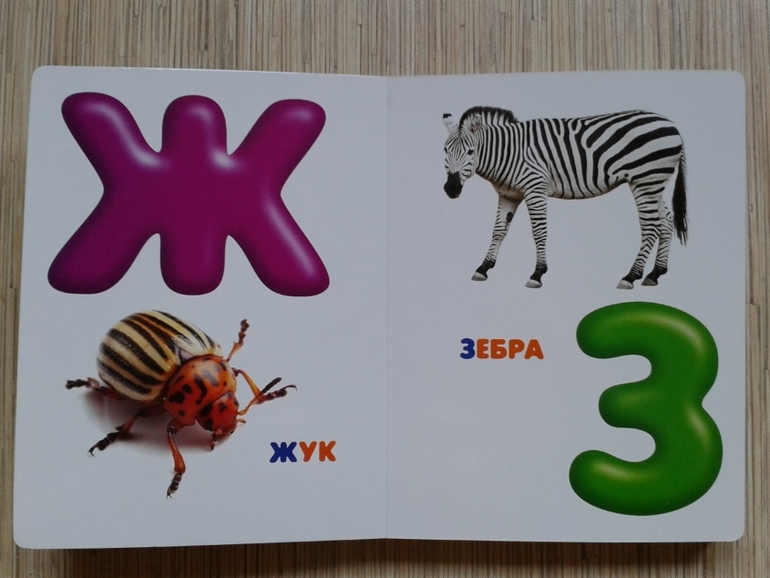 Живой алфавит с крупными буквами