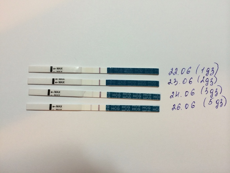 Как вам динамика?