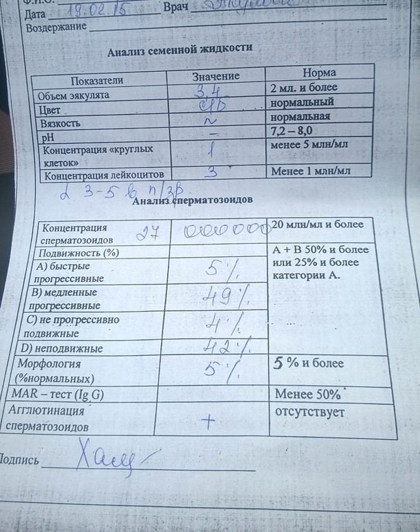 Сдать семенную жидкость. Контейнер для сбора эякулята. Спермограмма. Показатели спермограммы норма. Нормальные показатели эякулята.