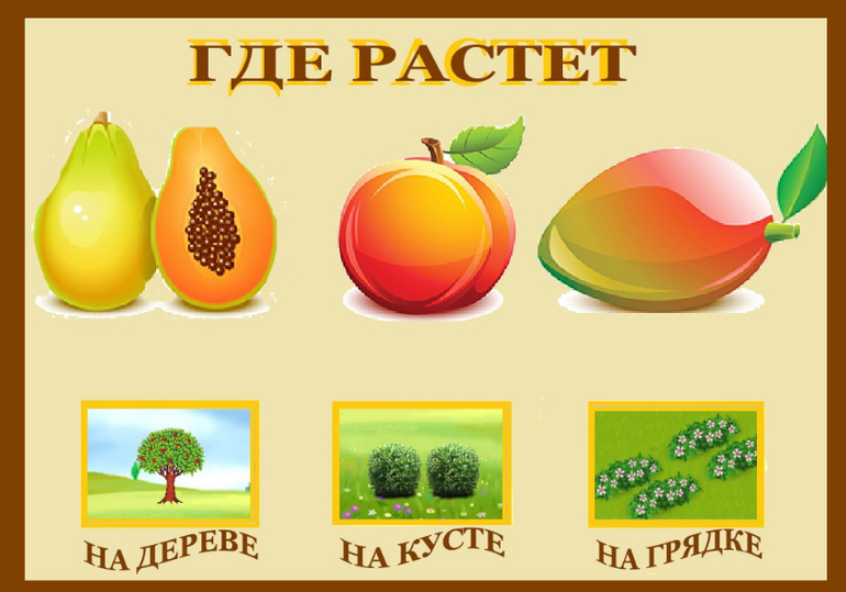 Дидактическая игра ягоды. Где растут фрукты для детей. Дидактическая игра что где растет овощи и фрукты. Игра где растут фрукты. Дидактические игры фрукты что где растет.