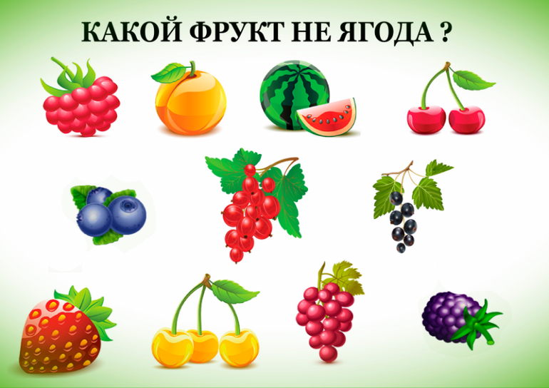 Нарисуй разные плоды и ягоды расскажи какие фрукты ягоды орехи ты любишь