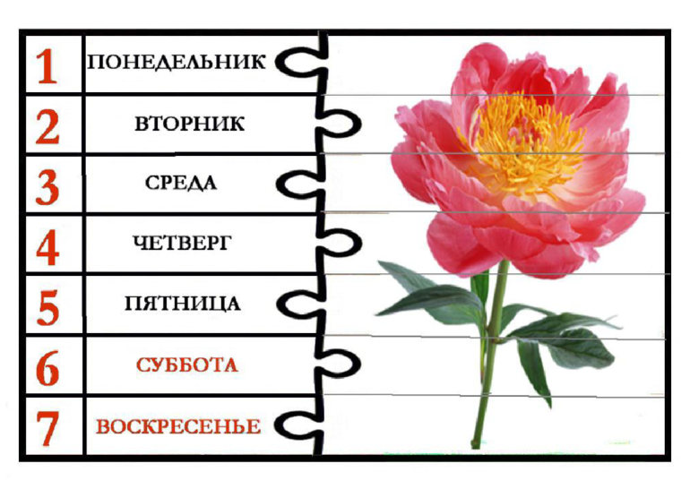 Песня дни недели. Цветок для изучения дней недели. Дни недели пазл. Пазл дни недели для детей. Цветы по дням недели.