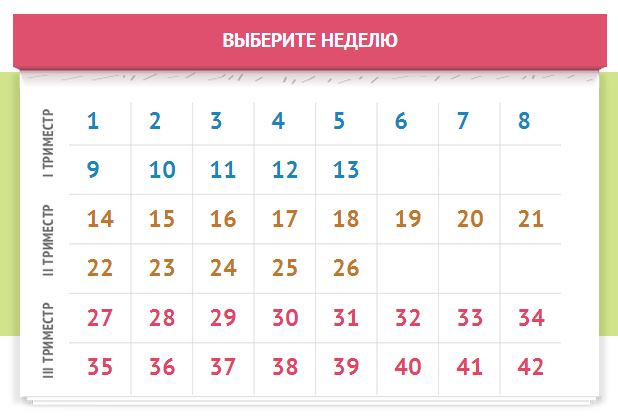 определить срок беременности онлайн калькулятор — 5 рекомендаций на  Babyblog.ru