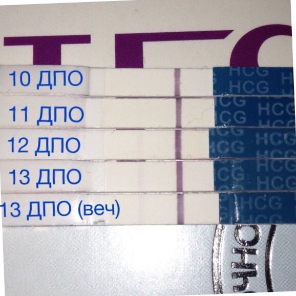 Тест динамика. Динамика тестов на беременность. Тесты на беременность по дням. Тест на беременность в динамике. Динамика тестов на беременность по дням.