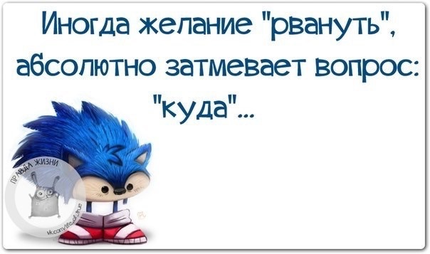 316144201fa54fa85d2c79293e55fcd0.jpg