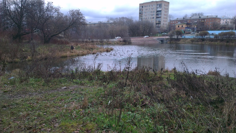 Обнаглели
