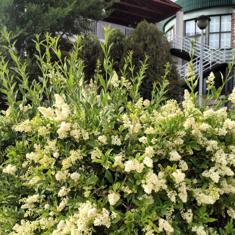 Вчера весь день было за 40....