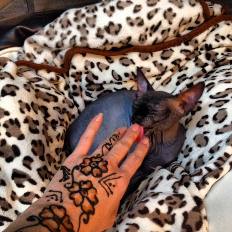 Пока Муж в командировке....