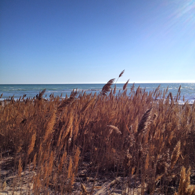 День сегодня хороший....