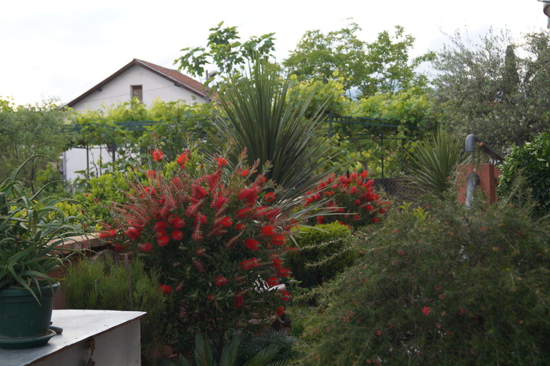 Наш майский отдых в Черногории (Тиват)