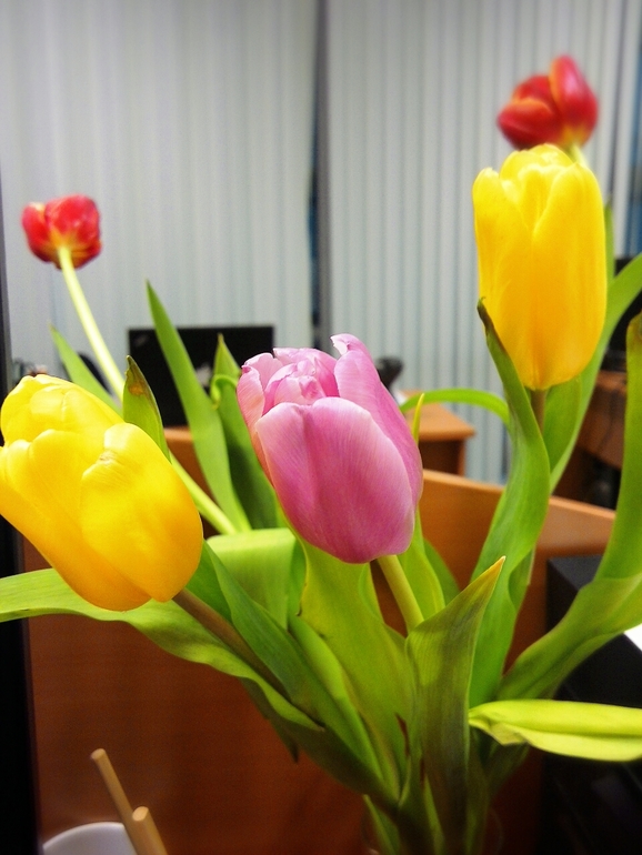 С праздником весны!