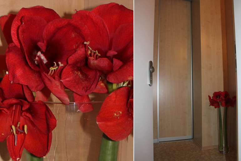 Взлёт 68-24 дневник