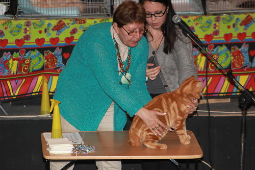 кошатники )))