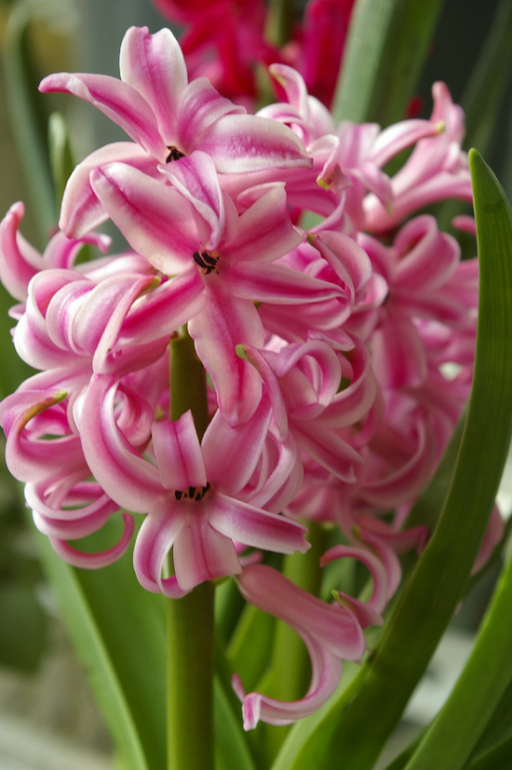 Весна. Начало)