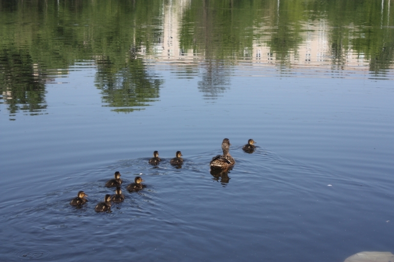 Мать героиня))8 деток)))