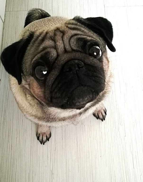 4. Home, sweet home. 4 марта. Под ногами.