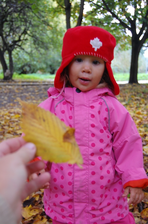 323e570d8bc40732b43144ab229b832b.jpg