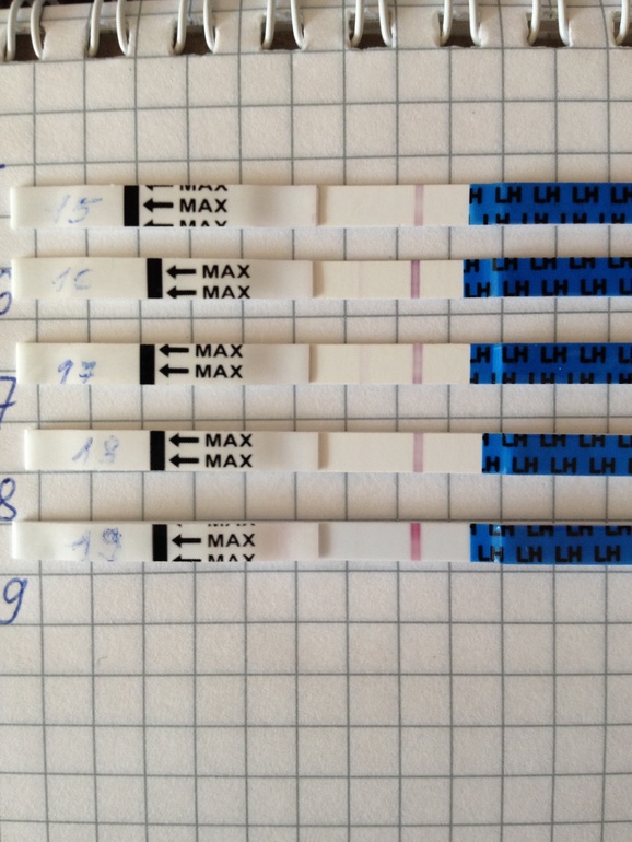 Цикле 32. Тест на беременность по циклам. Тест на беременность при нерегулярном цикле. Тесты по дням цикла. Тесты на беременность с днями цикла.