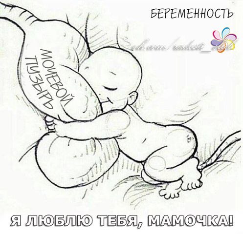 2de4f794704909d3c8da0a3e8c1c7ebc.jpg